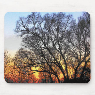 Mousepad Pôr do sol através da Arte das Árvores