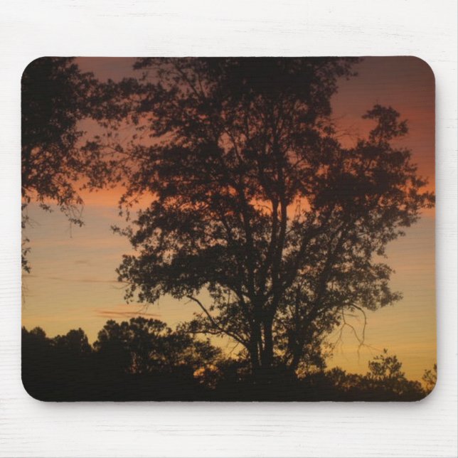 Mousepad Pôr do Sol Através das Árvores (Frente)