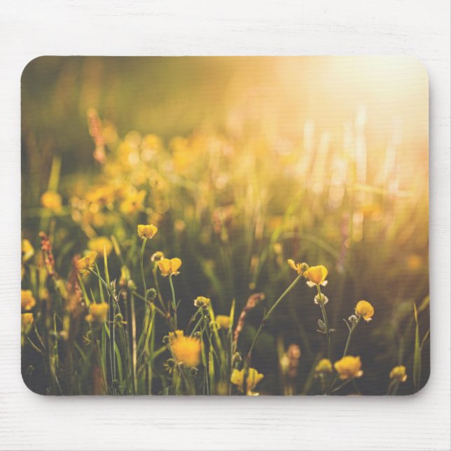 Mousepad Pôr-do-sol do botão de ouro (Frente)