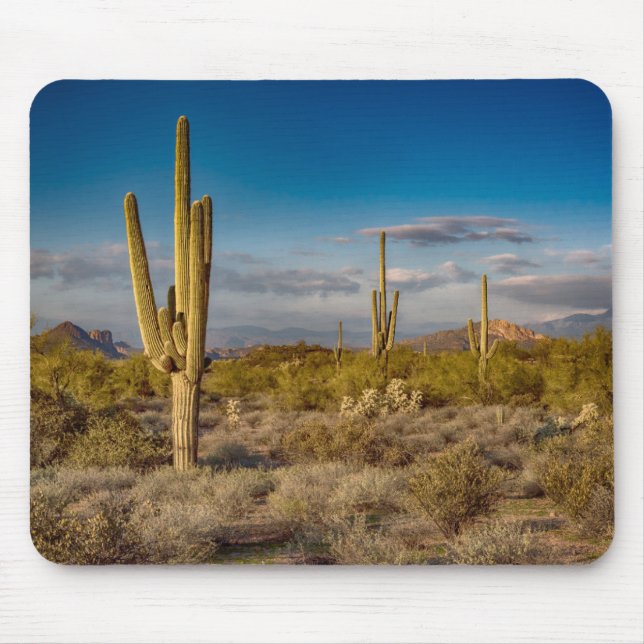 Mousepad Por do sol do cacto na arizona (Frente)