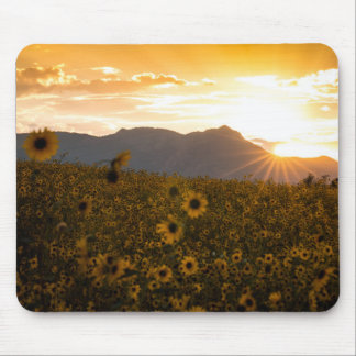 Mousepad Por do sol do girassol