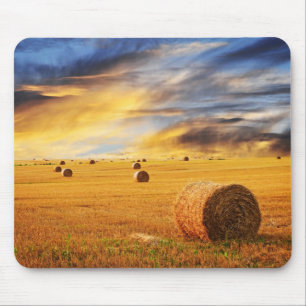Mousepad Por do sol dourado sobre o campo de fazenda