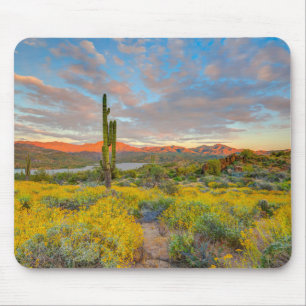 Mousepad Pôr do sol na paisagem desértica