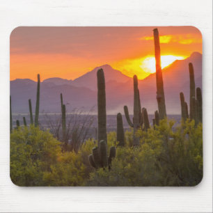 Mousepad Pôr do sol no deserto cacto, Arizona