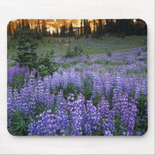 Mousepad Pôr do sol sobre o Mt. Adams e um prado subalpino