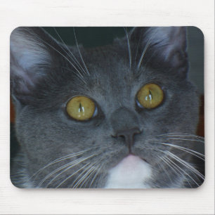 Mousepad Por favor