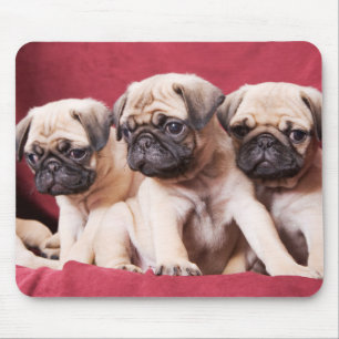 Mousepad Pôr triplas