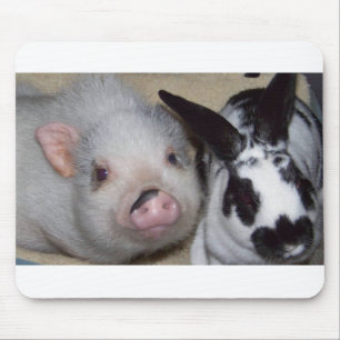 Mousepad Porco & amigo do Potbelly