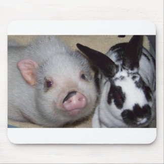 Mousepad Porco & amigo do Potbelly