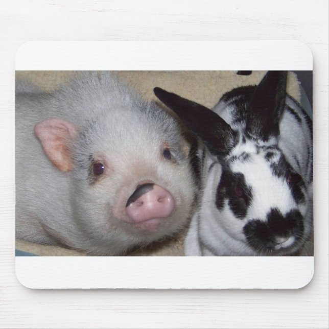 Mousepad Porco & amigo do Potbelly (Frente)