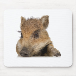Mousepad porco de barriga de panela vetor