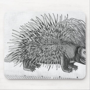 Mousepad Porco-, 'de Historia Animalium