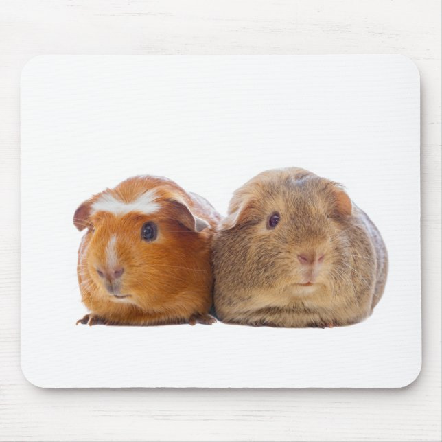 Mousepad Porco-guineal (Frente)