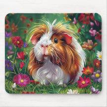 Porco guineense de longa distância entre flores