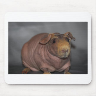 Mousepad Porco magro