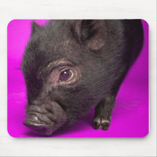 Mousepad Porco preto do bebê