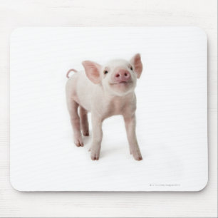 Mousepad Porco que está de vista acima