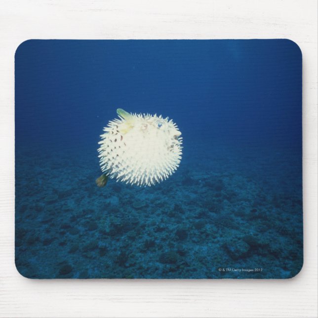 Mousepad Porcupine Fish (Frente)