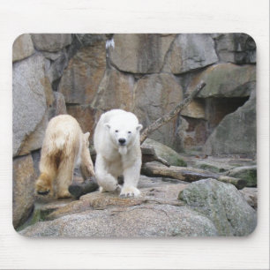 Mousepad Porta-bocal POLAR