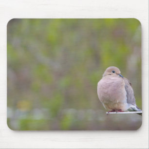 Mousepad Porta de luto