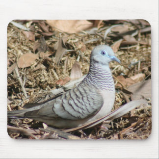 Mousepad Porta pacífica - Geopelia placida