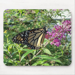 Mousepad Porta-voz da borboleta monarca