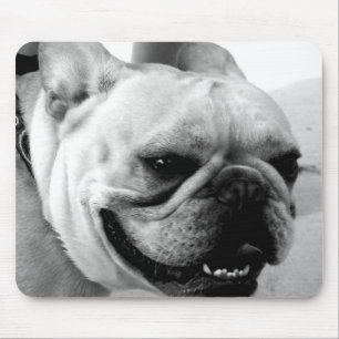 Mousepad Porta-voz do Bulldog Francês
