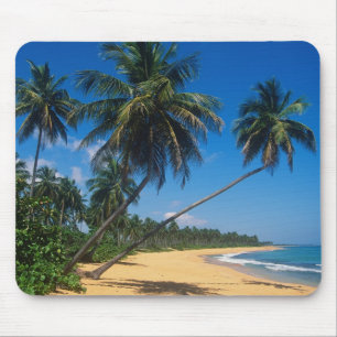 Mousepad Porto Rico, Ilha Verde, palmeiras.