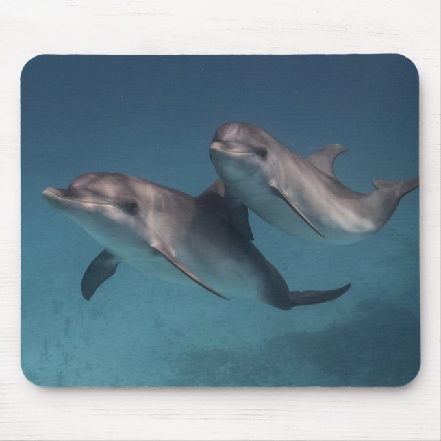 Mousepad Pose brincalhão (Frente)