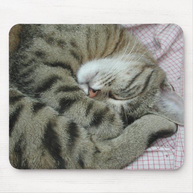 Mousepad Posição Adormecida de Gato (Frente)