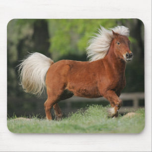 Mousepad Posição diminuta do cavalo