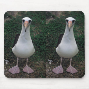 Mousepad Posição do albatroz de Laysan
