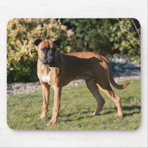 Mousepad Posição do cão do pugilista da jovem corça