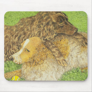 Mousepad Possessão