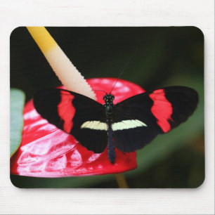 Mousepad Postman Butterfly