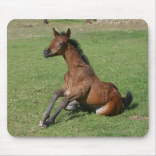 Mousepad Potro árabe de assento