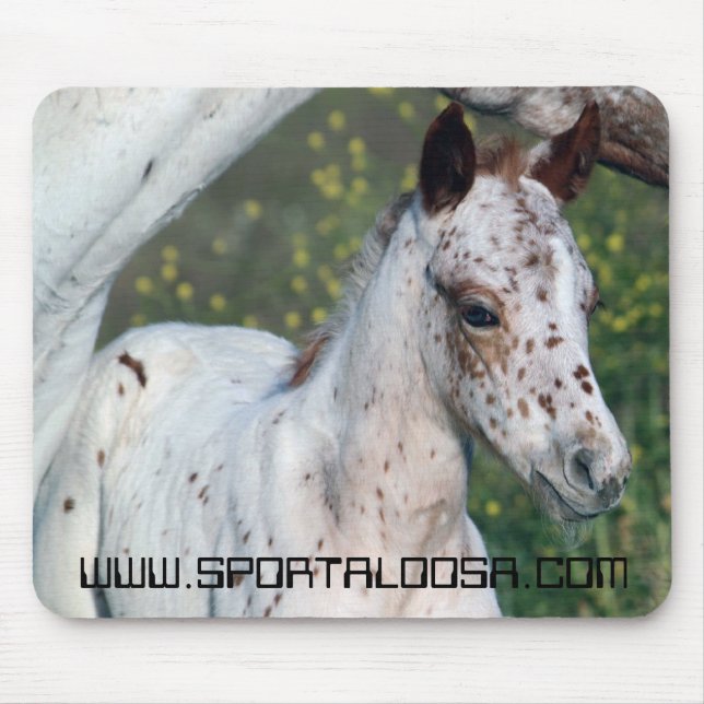 Mousepad Potro do leopardo (Frente)