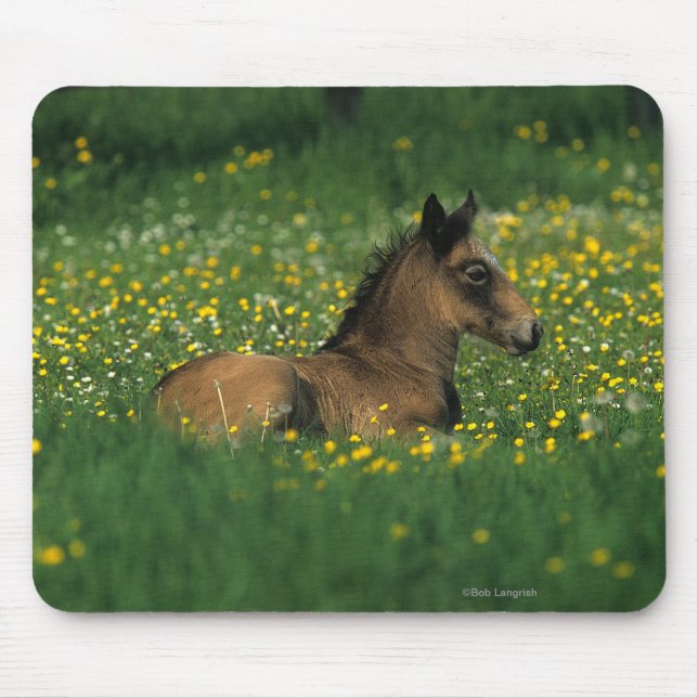 Mousepad Potro que estabelece nas flores (Frente)