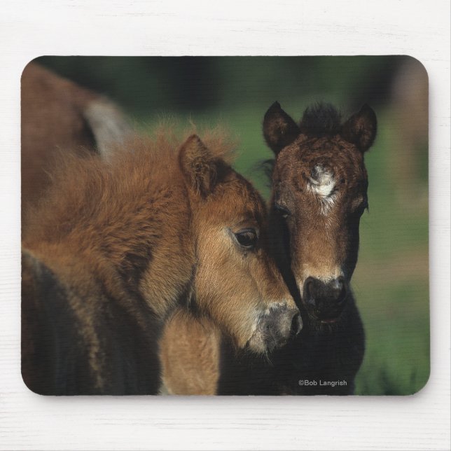 Mousepad Potros 2 da miniatura (Frente)