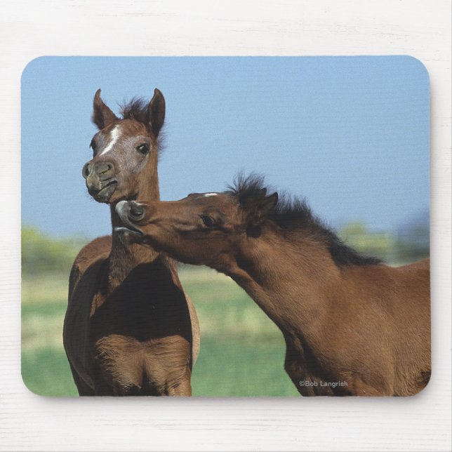 Mousepad Potros que jogam 2 (Frente)