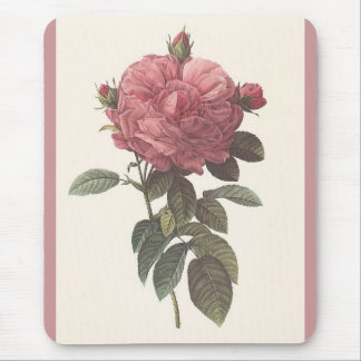 Mousepad PR - Rosa gallica flore giganteo Rosa