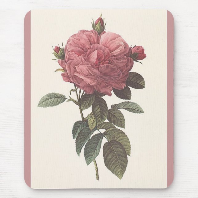 Mousepad PR - Rosa gallica flore giganteo Rosa (Frente)