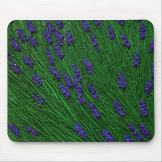 Mousepad Prado da lavanda