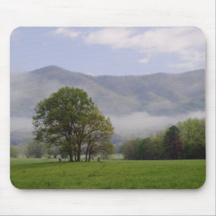 Mousepad Prado enevoado e Rich Mountain, Cades Cove,