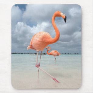 Mousepad Praia Aruba dos flamingos
