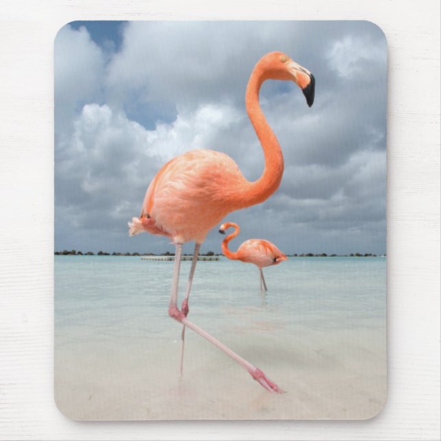 Mousepad Praia Aruba dos flamingos (Frente)