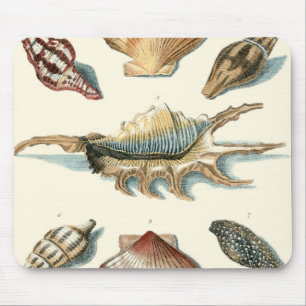 Mousepad Praia da Shell Rico