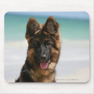 Mousepad Praia de cabelos compridos do german shepherd