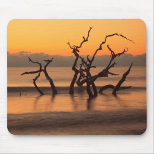 Mousepad Praia Driftwood ao nascer do sol Ilha Jekyll Geórg