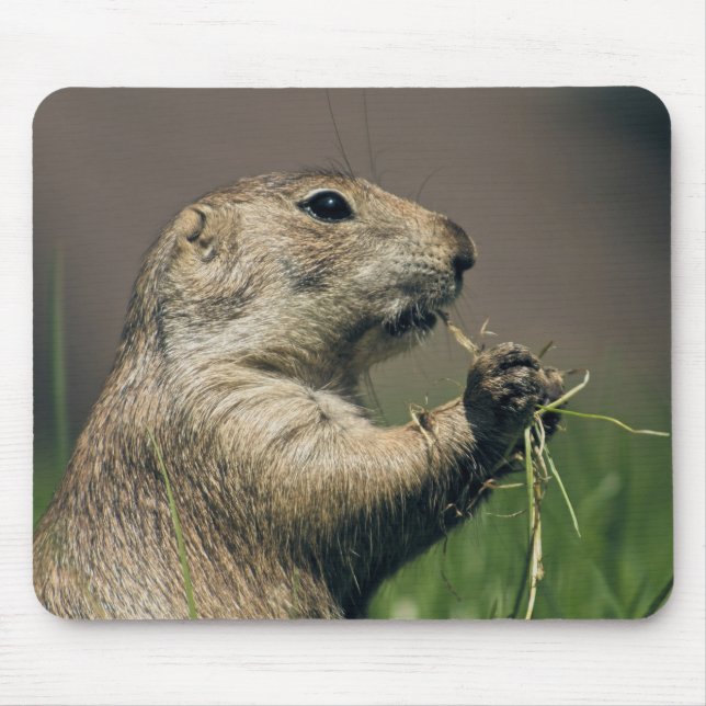 Mousepad Prairie dog (Frente)